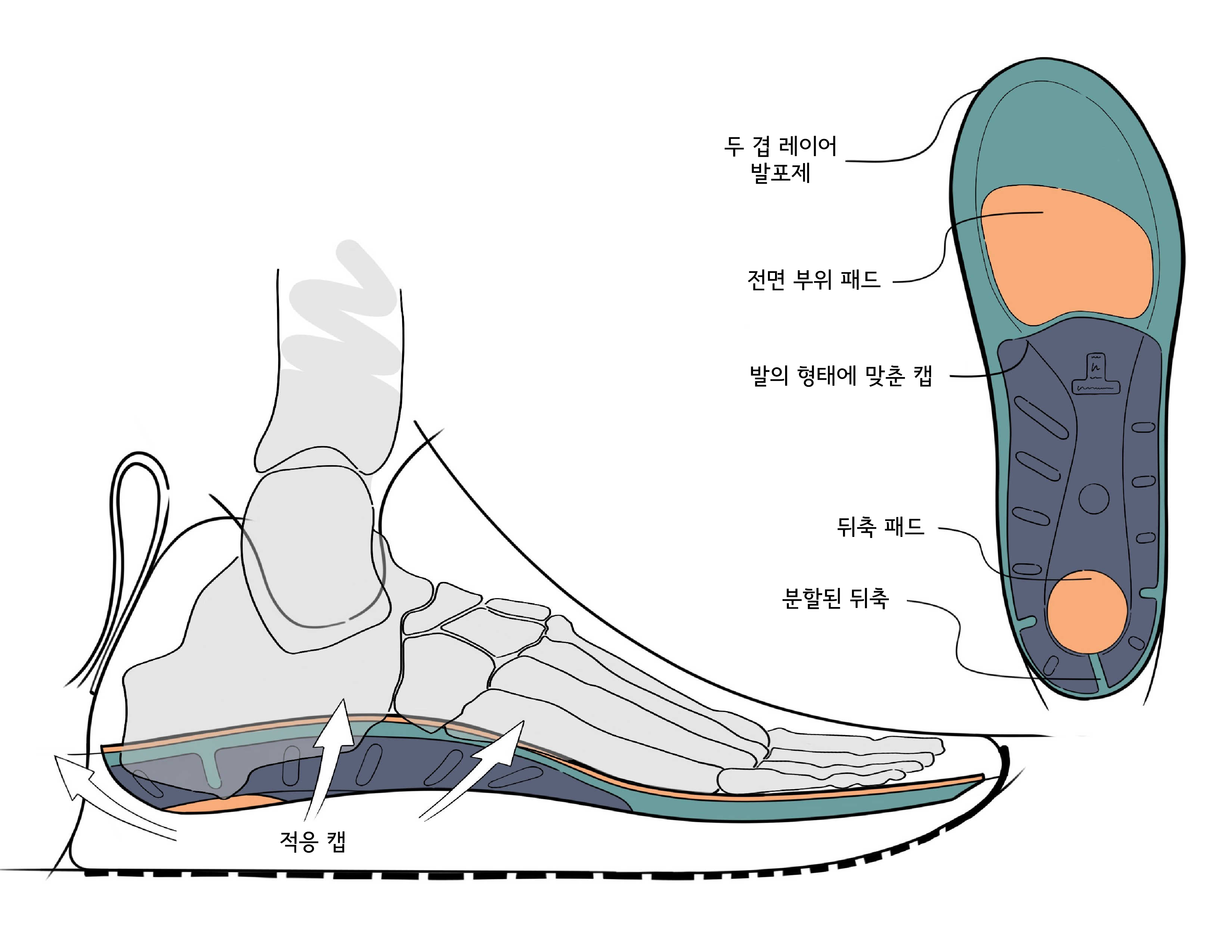 ADAPT_Sketch_in_Shoe_cropped