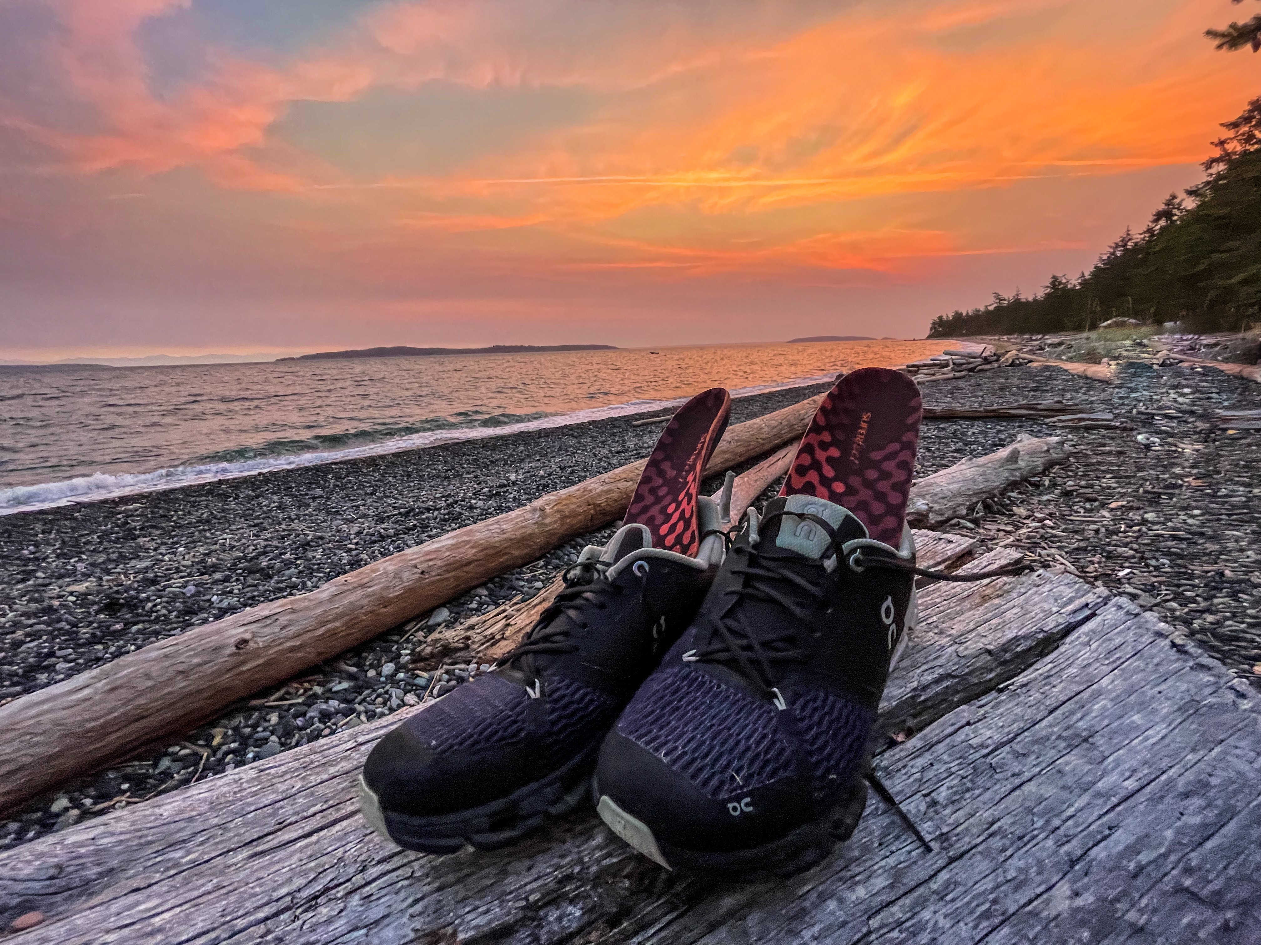 _shannonmahre_Adapt_Image_4