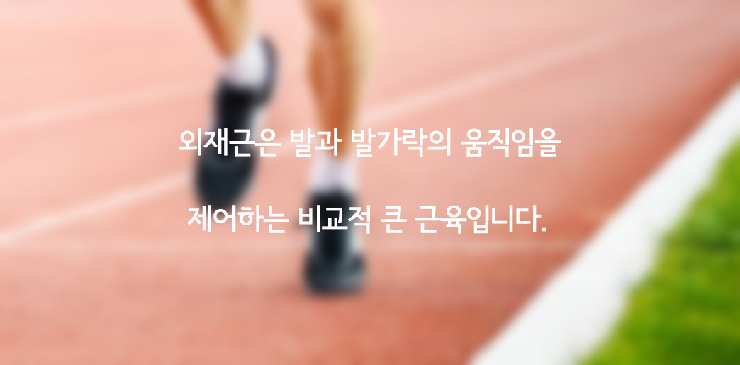 Young athlete at the stadium. Jogging/ Sprinting / Active lifestyle concept.
